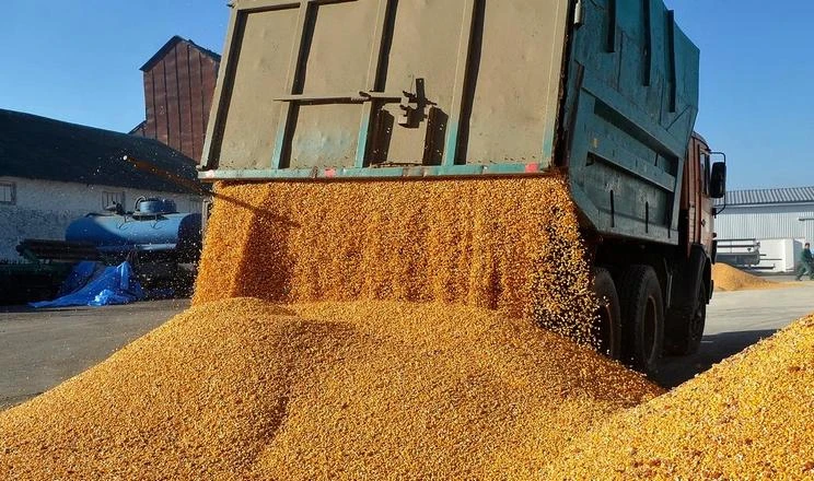 Аграріїв турбує ринок, а не погода