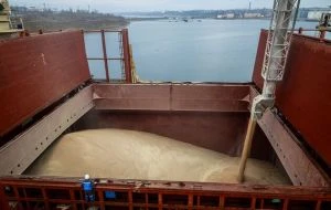 Єгипет призупинив закупівлі пшениці